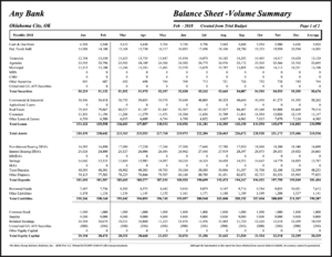 Balance Sheet Monitor Image from The Baker Group